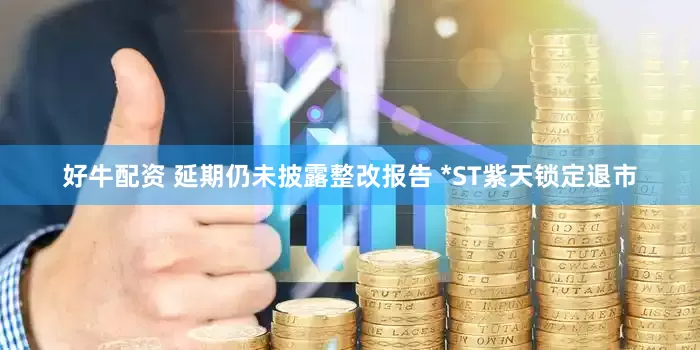 好牛配资 延期仍未披露整改报告 *ST紫天锁定退市