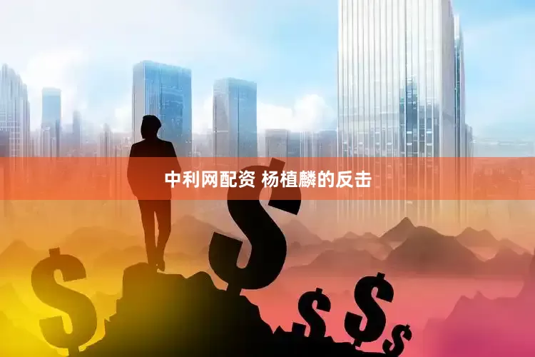 中利网配资 杨植麟的反击