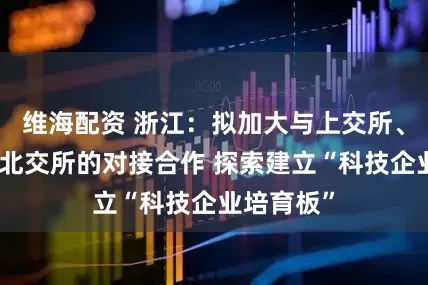 维海配资 浙江：拟加大与上交所、深交所和北交所的对接合作 探索建立“科技企业培育板”