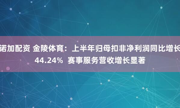 诺加配资 金陵体育：上半年归母扣非净利润同比增长44.24%  赛事服务营收增长显著