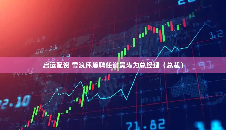 启运配资 雪浪环境聘任谢吴涛为总经理（总裁）