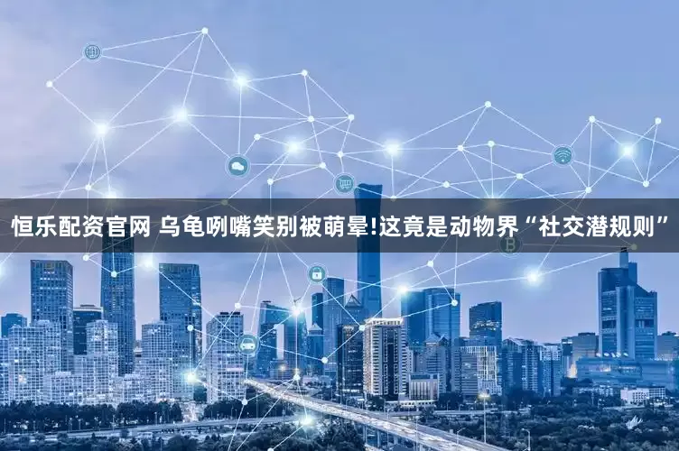 恒乐配资官网 乌龟咧嘴笑别被萌晕!这竟是动物界“社交潜规则”