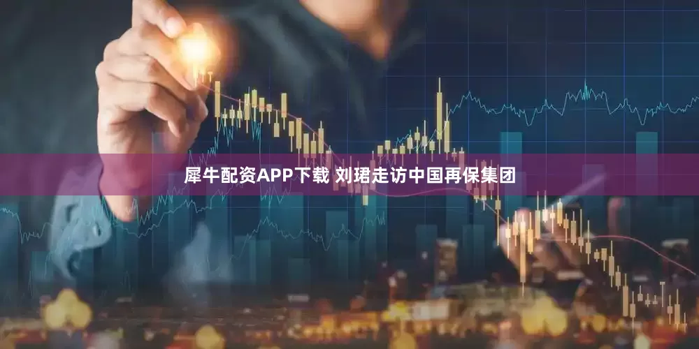 犀牛配资APP下载 刘珺走访中国再保集团