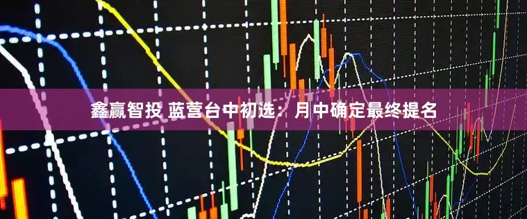 鑫赢智投 蓝营台中初选：月中确定最终提名