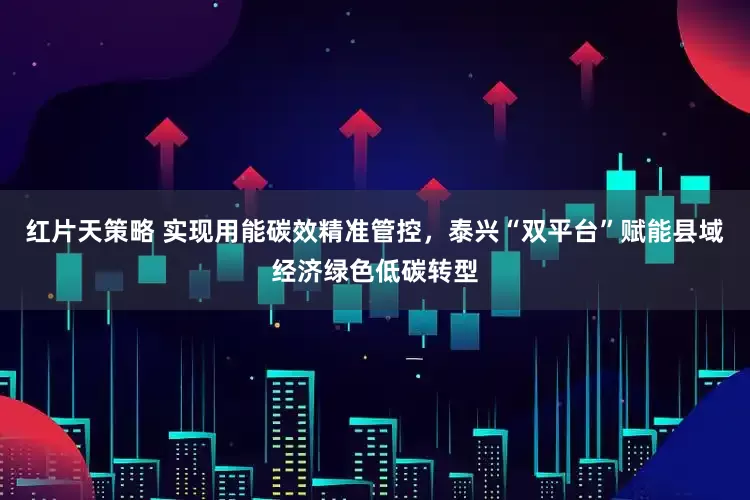 红片天策略 实现用能碳效精准管控，泰兴“双平台”赋能县域经济绿色低碳转型
