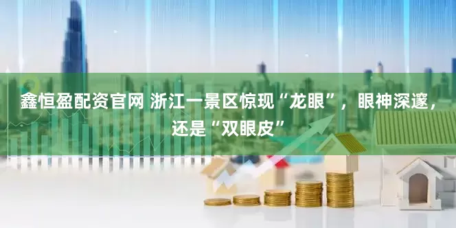 鑫恒盈配资官网 浙江一景区惊现“龙眼”，眼神深邃，还是“双眼皮”