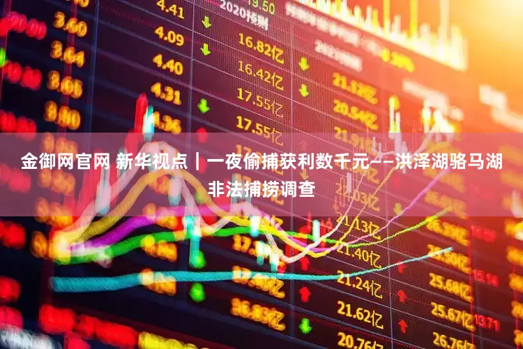 金御网官网 新华视点｜一夜偷捕获利数千元——洪泽湖骆马湖非法捕捞调查